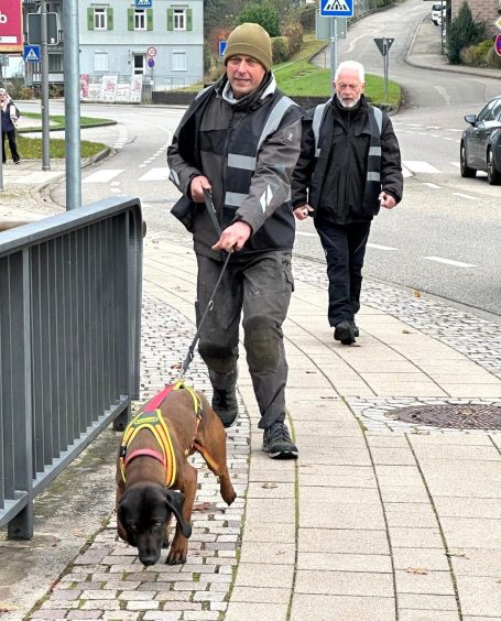 Der Hund folgt der Geruchsspur der verschwundenen Person quer durch die Stadt 