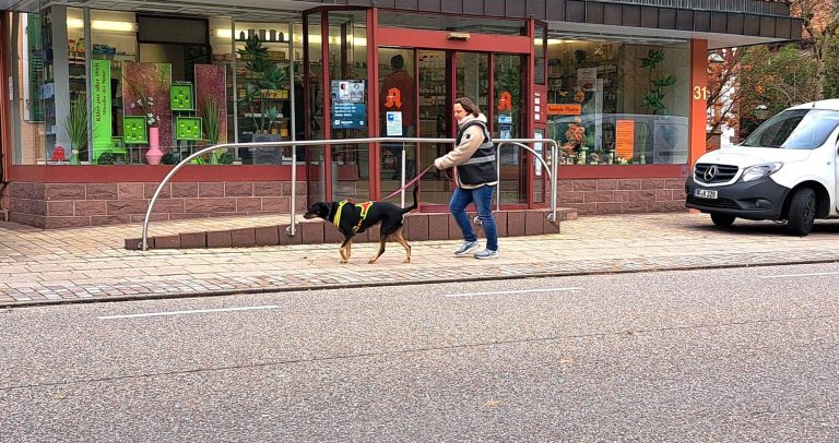 Personensuche (Mantrailing) quer durch Bad Herrenalb
