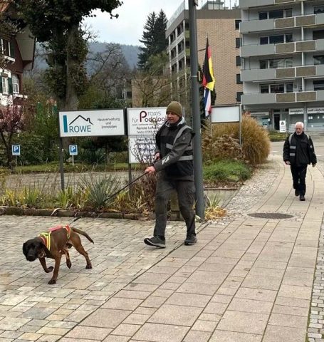 Mantrailerteam und Hundetrainer Wolfgang Scheiber beim Training in Bad Herrenalb