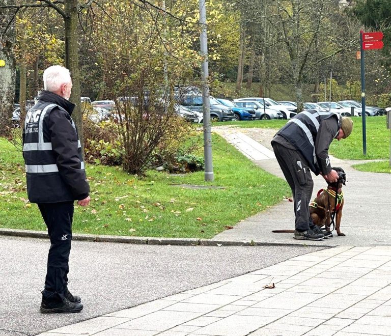 professionelles Mantrailing beginnt mit präziser Geruchsaufnahme