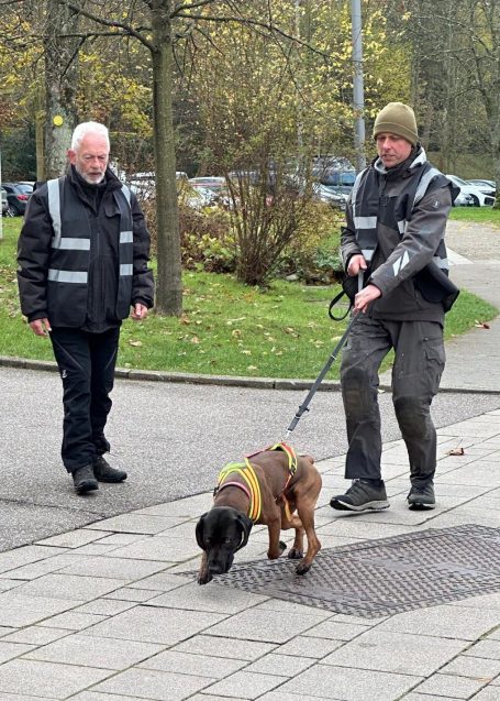 Nach der Geruchsaufnahme sucht der Hund nach Geruchspartikeln der verschwundenen Person