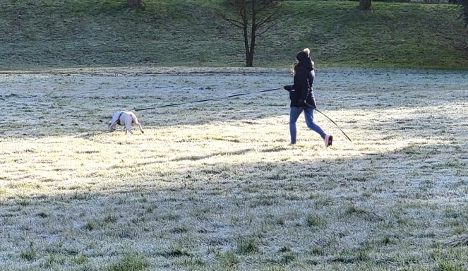 Mantrailing im Kurpark von Bad Herrenalb