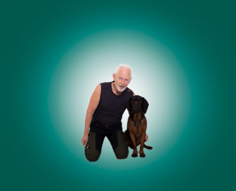 Rocky, mein aktueller vierbeiniger Partner